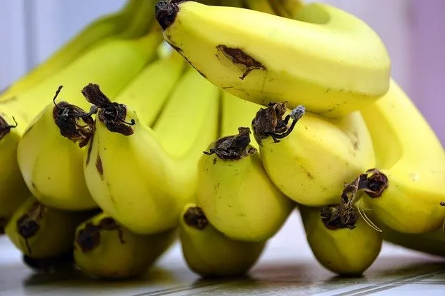 Banana Ripening Chamber